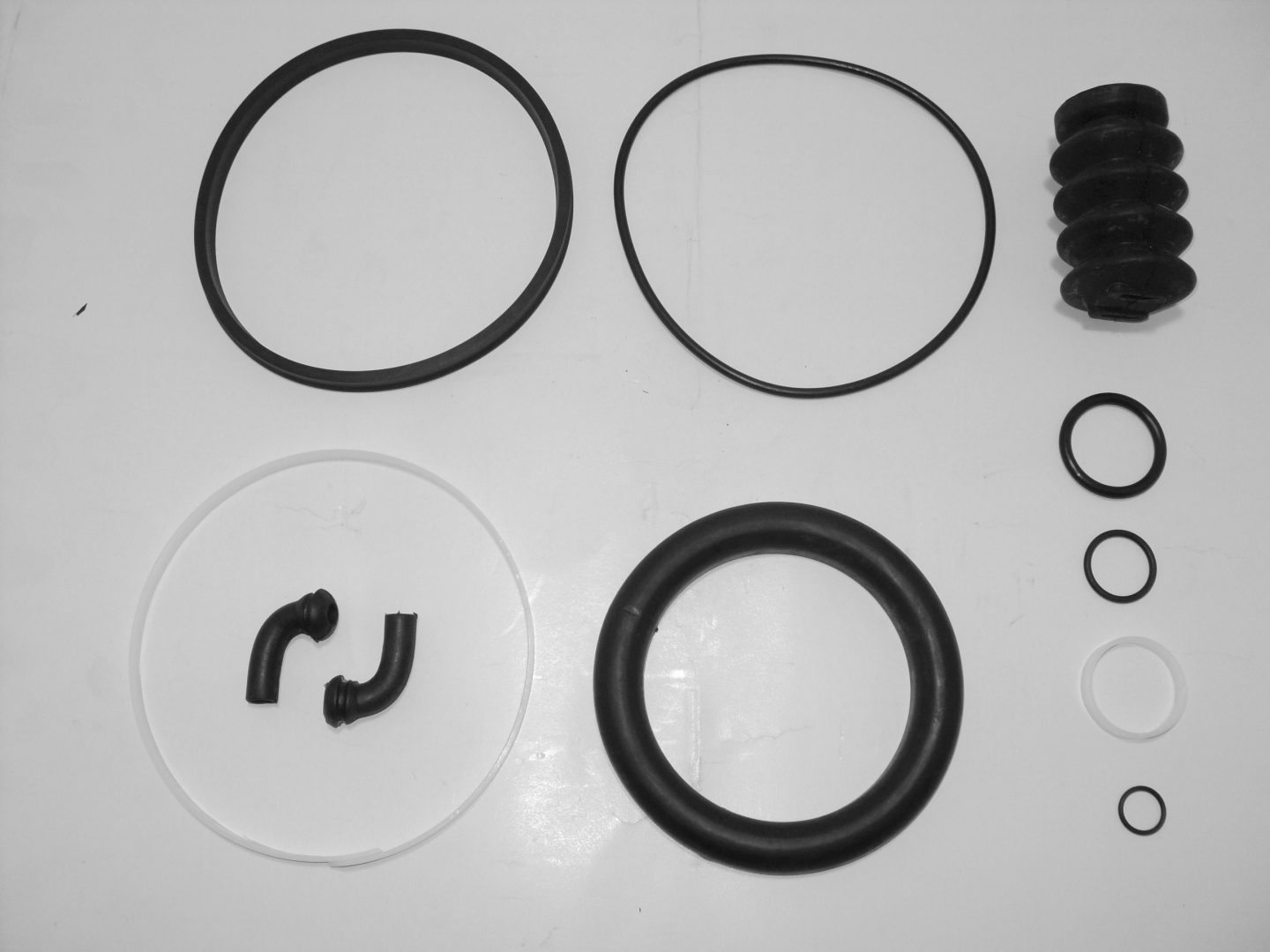 220.10.ZN15.jpg