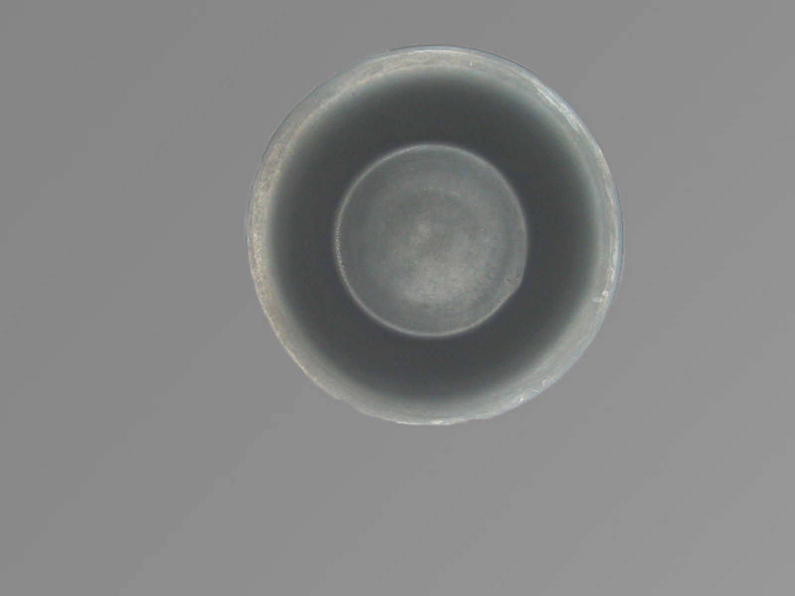 222.13.N002.jpg