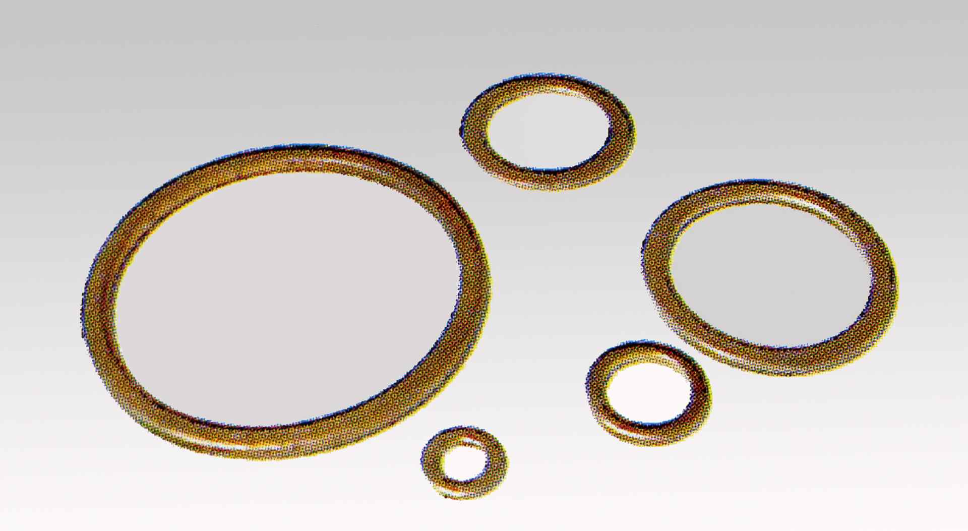 225.50.X002.jpg