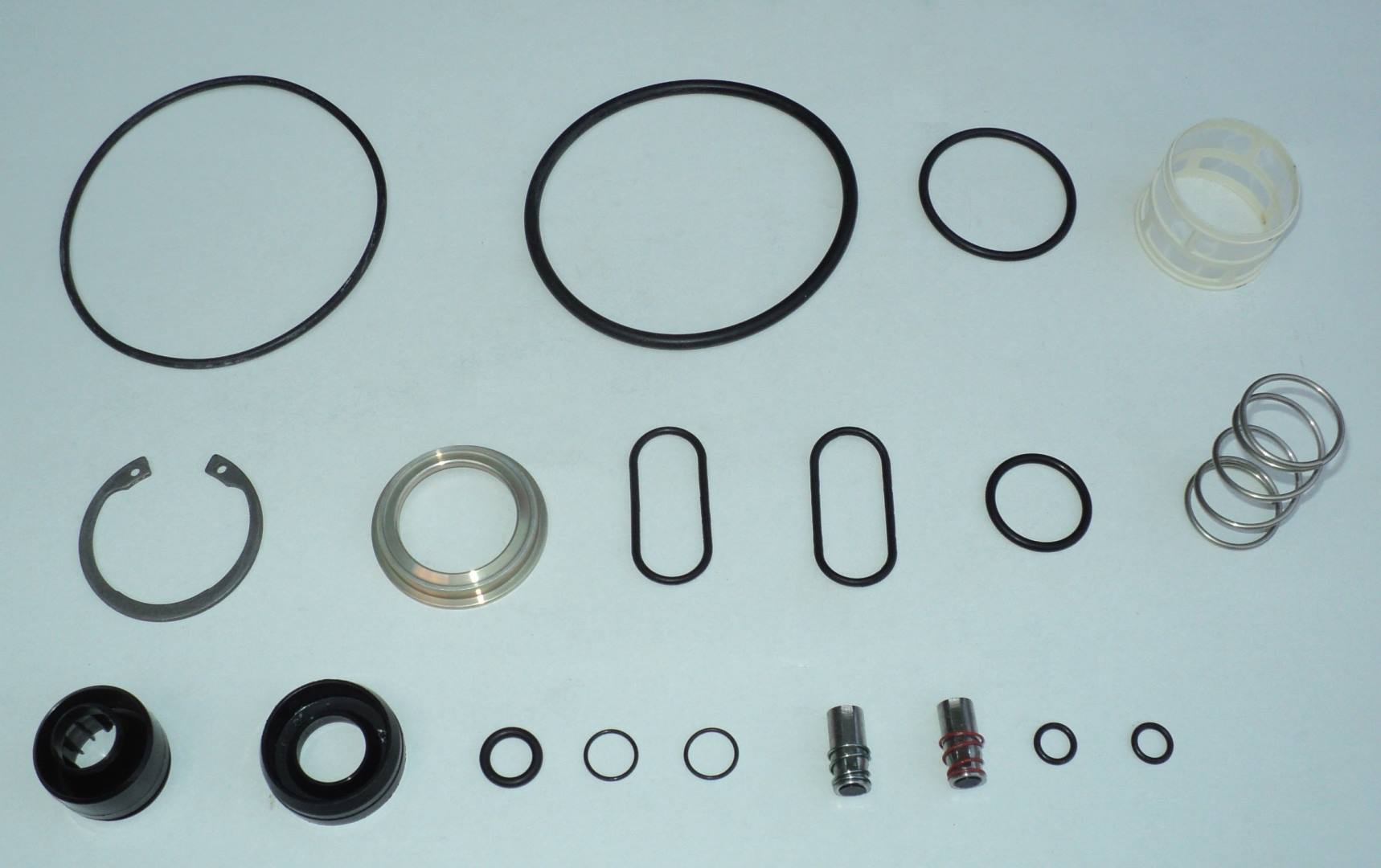 295.08.ZN01.jpg