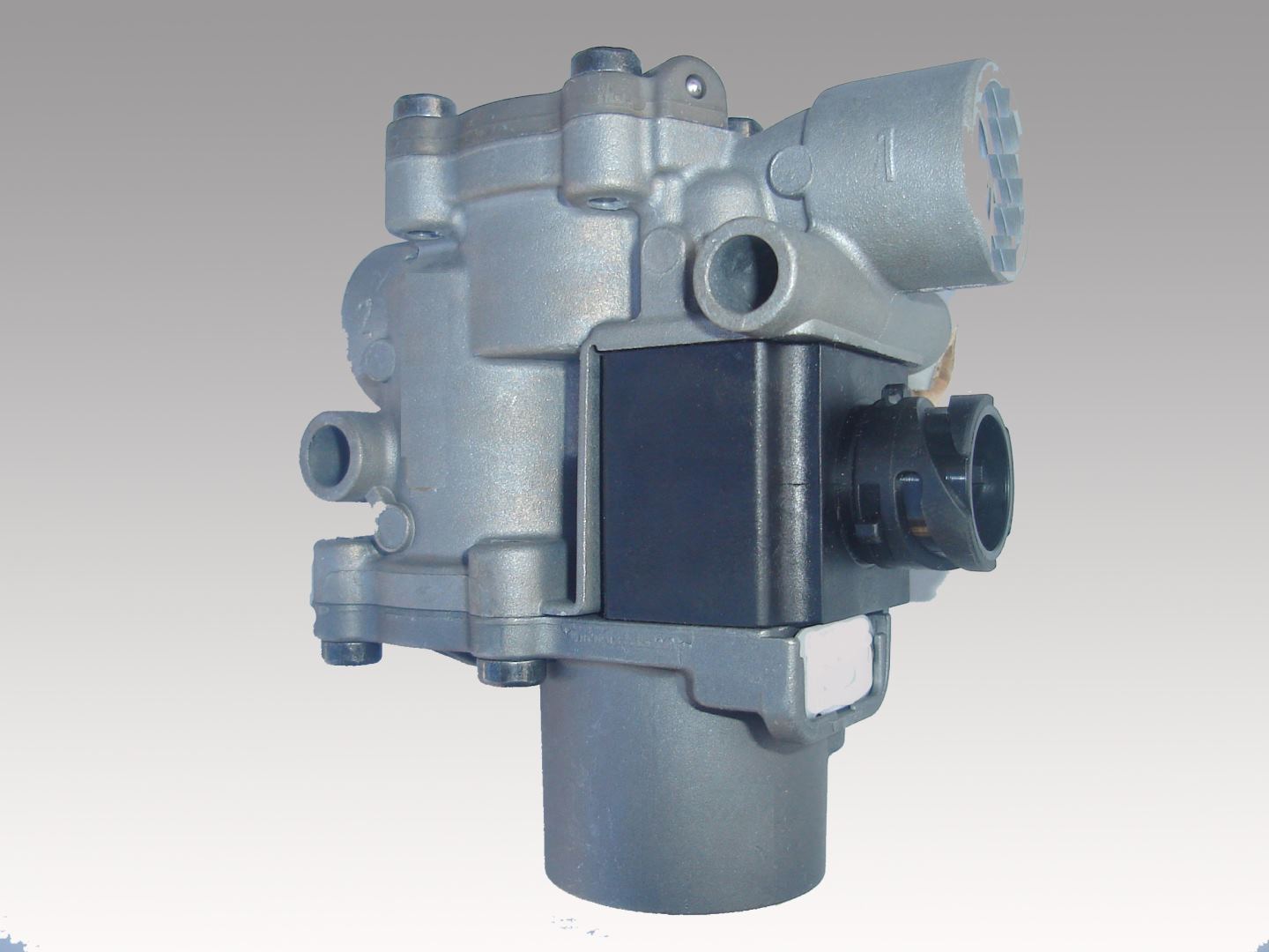 295.10.K002.jpg