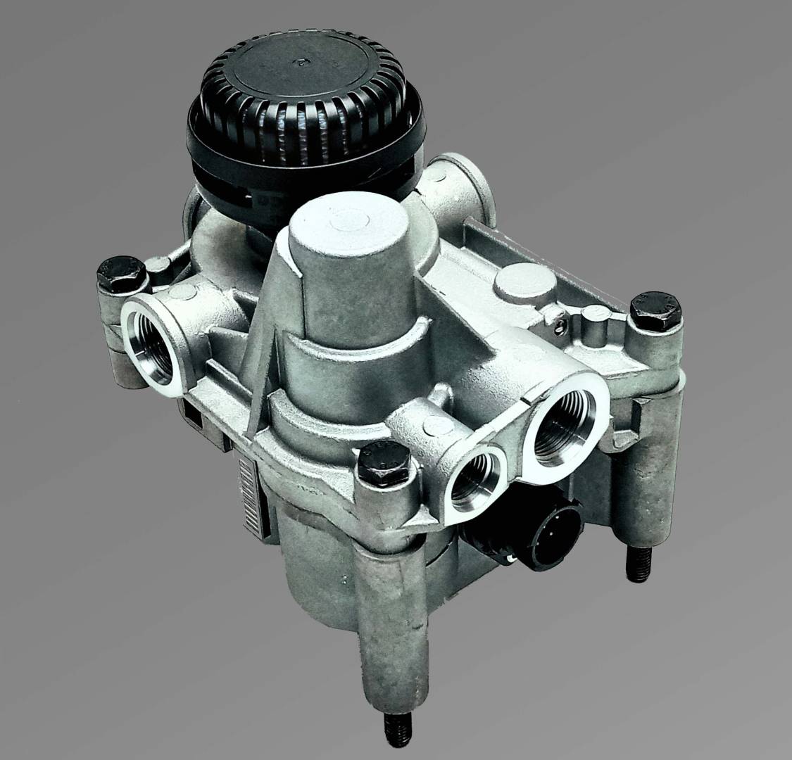 295081011217.jpg