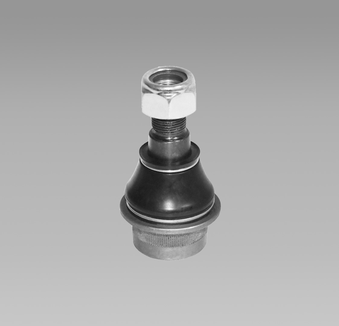 296-00030-00.jpg