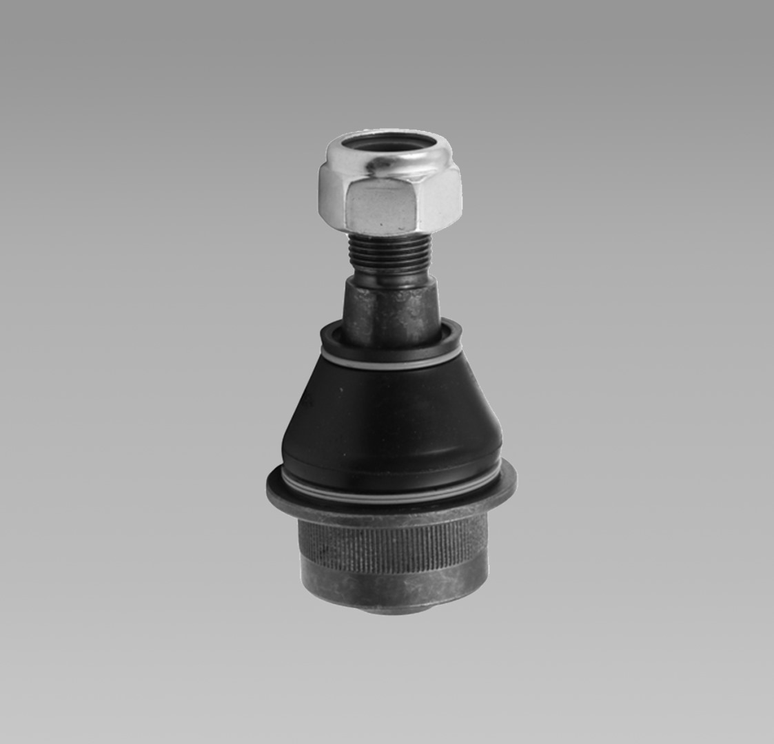 296-00031-00.jpg